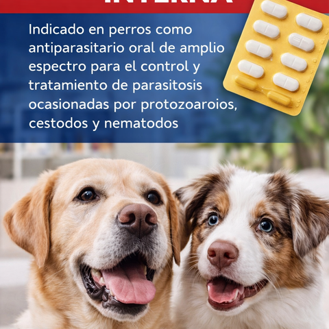 Desparasitante interno