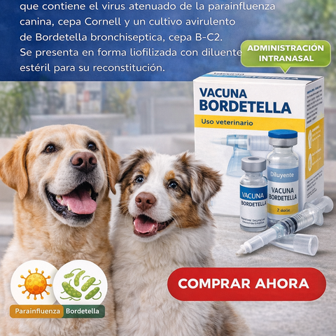 Vacuna Bordetella