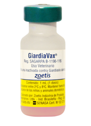 Vacuna Giardia