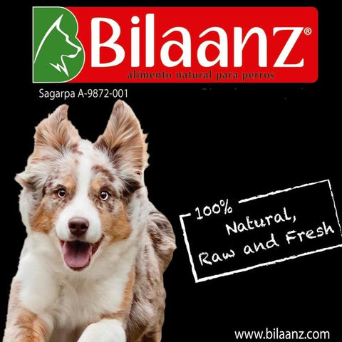 Bilaanz