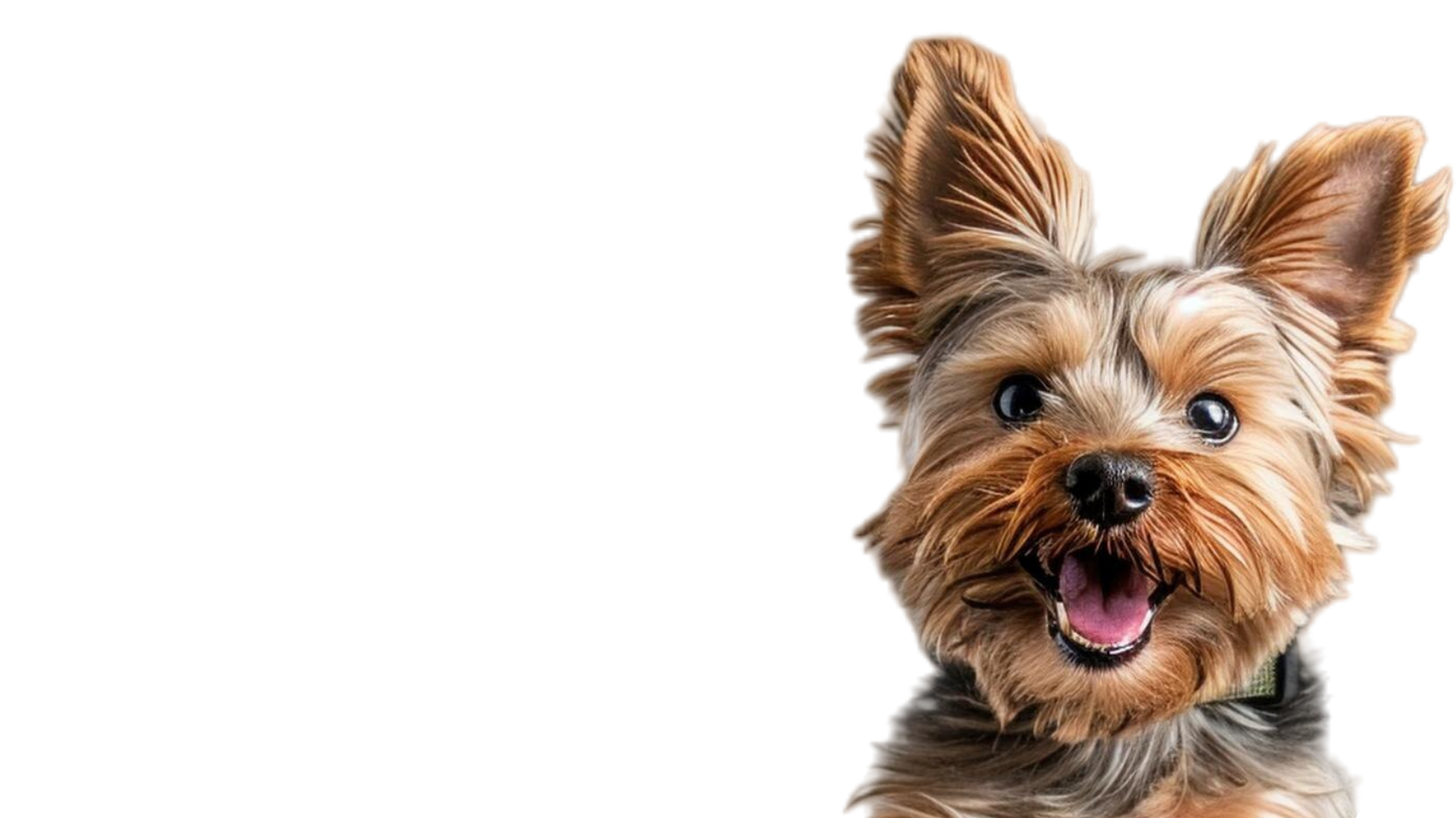 DogDay Mascot